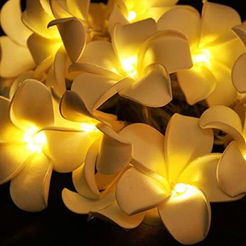 Sezrgiu Hawaiian Plumeria String Light, plugue de flores de espuma Frangipani em Luz de Fada para