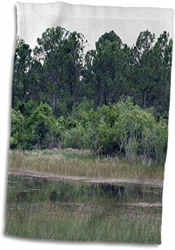 Cenário da tripulação do zoológico 3drose Susans - Florida Wetlands Pines Trees - Toalhas