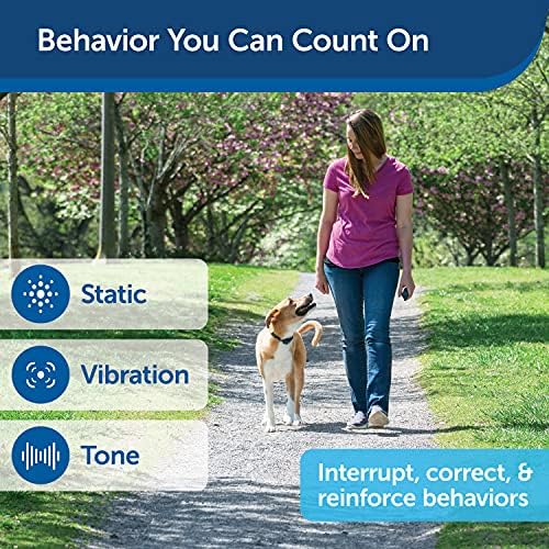 PetSafe de 300 jardas de treinamento remoto - Kit de 2 cães - tom, vibração e 15 níveis de estimulação estática