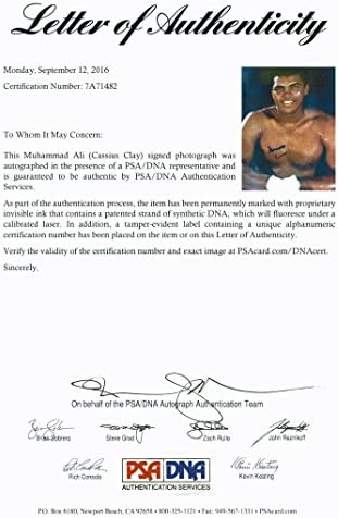 Muhammad Ali assinou Cassius Clay Authentic 11x14 Photo PSA/DNA ITP 7A71482