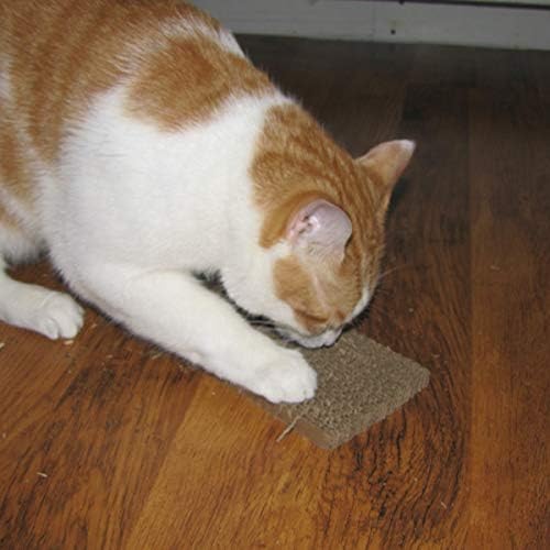 Gurus do tesouro papelão corrugado Catnip Catnip incluiu um gatinho de gatinho de gatinho acessório de animais