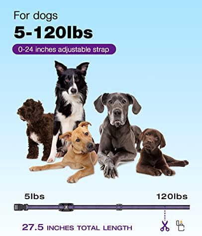 Colar de choque de cães bousnic - colar de treinamento de cães de 3300 pés com remoto para 5-120 libras pequenos