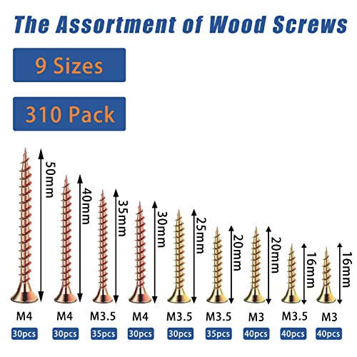 310pcs parafusos de madeira kit de sortimento, parafusos de madeira plana Conjunto de parafusos de madeira