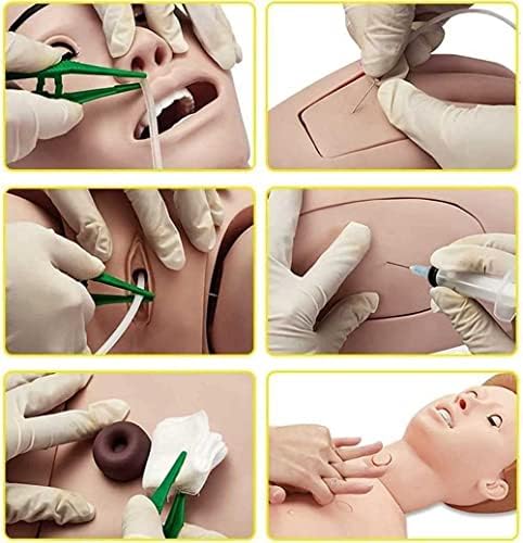 Tuozhe Atenção do paciente Manikin 170cm Tamanho da vida com órgãos genitais intercambiáveis ​​e módulos