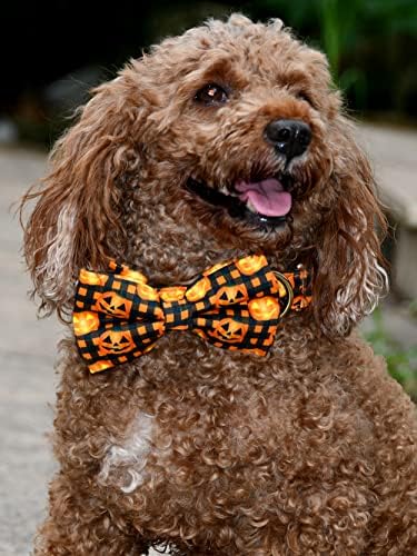 Halloween Dog tiche de cachorro gola de cachorro, abóboras destacáveis ​​AllHallows acessórios de gravata borboleta,