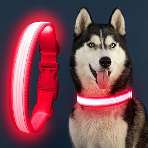 Colar de cachorro iluminado, colar de cachorro LED recarregável, colarinho de cachorro piscando, segurança