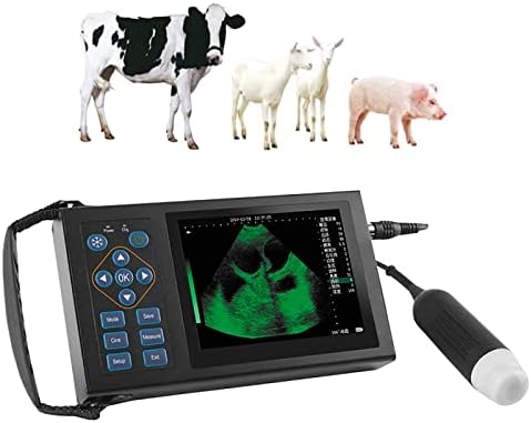 Scanner de ultrassom portátil veterinário, scanner veterinário B-ultrasound, Máquina de Ultrassom de