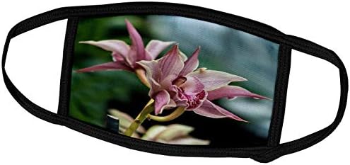 3drose Roni Chastain floral - orquídeas rosa - tampas de rosto