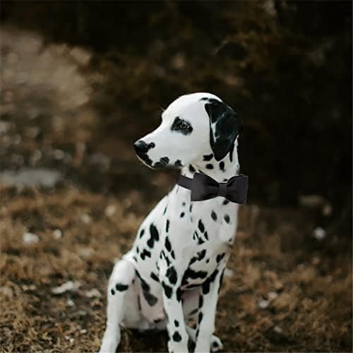 Colar de cachorro de seda preta genérica com colarinho de cães de estimação ajustável de gravata borboleta