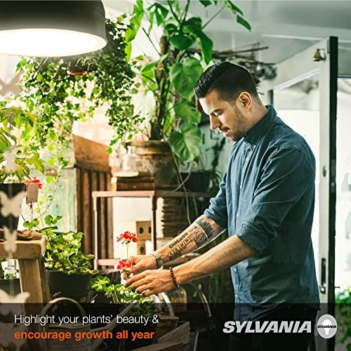 Sylvania Spot -Gro 65W Lâmpada de cultivo, lâmpada refletor incandescente de BR30, 120 volts, fosco, branco macio