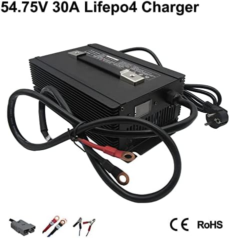 48V 30A LIFEPO4 EBIKE MOTORCYCLE RV CARAGEM 54.75V 15S 15A 20A LFP BICYCLE ENERGION