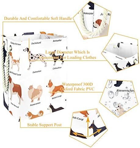 Cães de animais conjuntos de animais dachshund impermeabilizante cura