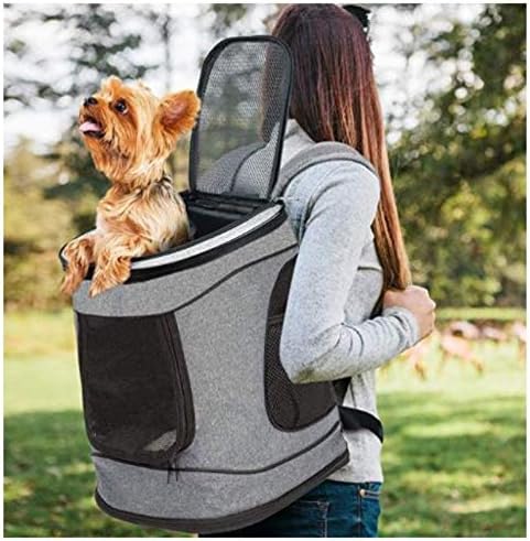 Portador de mochila de cachorro, transportadora de gato dobrável para pequenos gatos, cães, pequenos animais