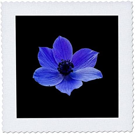 3drose azul lilás anêmona vetor de flores silvestres - quadrados de colcha