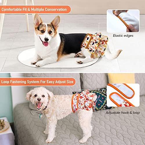 Um pacote de um cachorro de aniversário de canto bandanan e pacote de roupas de fraldas femininas