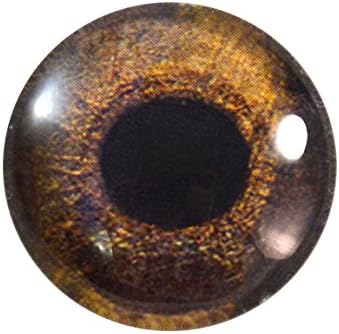 25mm de olho de vidro de cauda vermelha única para esculturas de taxidermia ou jóias fazendo artesanato
