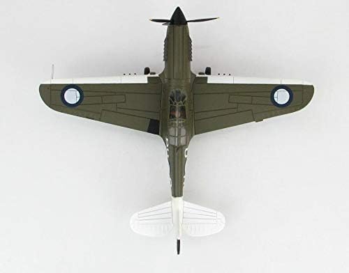 HM P-40N ABELHA IRABILIDADE BU-O LT.