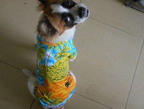 Tangpan Hawaiian Beach Coconut Tree Printe Dog Camisa de camisa de verão Roupas de camisa