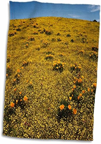 3drose California, California Poppy Wildflowers e Goldfields - Toalhas