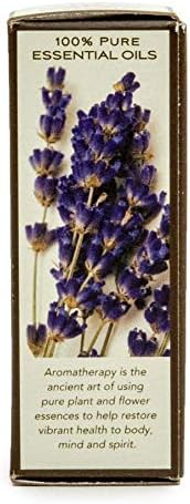 óleo de aromaterapia rareearth, lavanda francesa