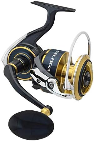 DAIWA 2020 SALTIGA SALTWATHWATH SPING