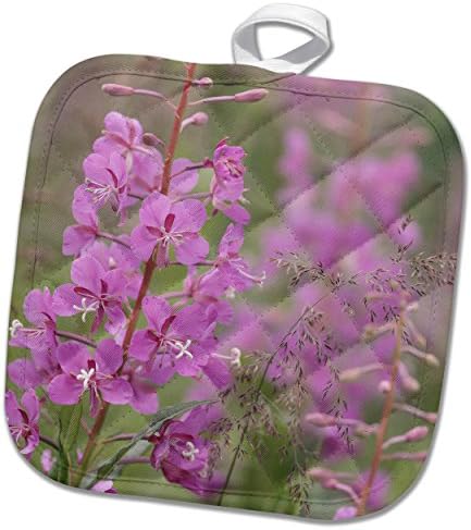 3drose EUA, Alasca, Valdez. Close Up of Fireweed Flowers Pot Holder, 8 x 8