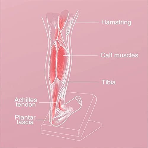 Placa inclinada portátil 5 Altura de altura de altura Ajuste ajustável Placa profissional Manter de panturrilha